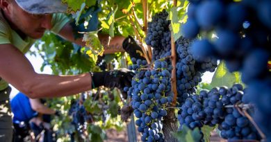 En defensa del salario obrero: FOEVA cerró las paritarias para exigir aumentos que frenen el ajuste en bodegas y viñas