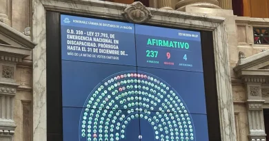Ley de Discapacidad: el amplio respaldo en Diputados y la sospecha de un “gesto” para el Papa